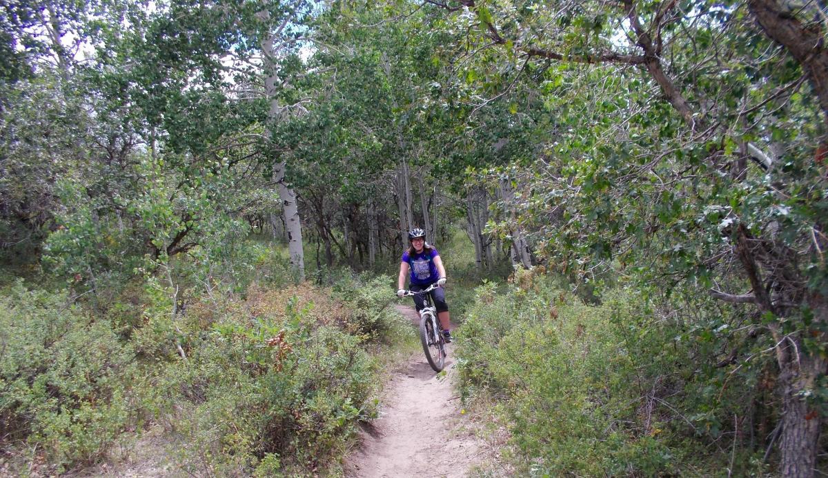 A person riding a mountain bike on a dirt trail surrounded by trees and greenery in a forested area. The cyclist is wearing a helmet and casual biking attire, enjoying the outdoor scenery. Hazard County mountain bike trail.