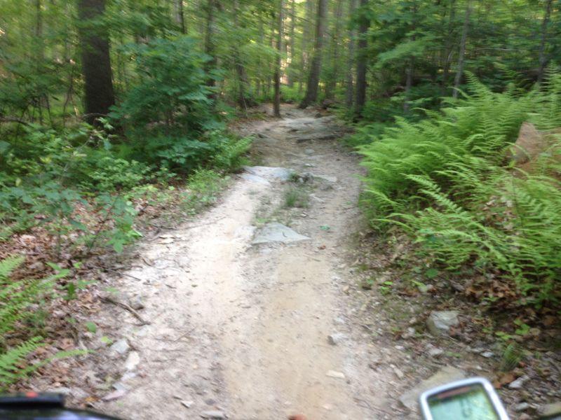 A narrow dirt trail winding through a dense forest, surrounded by lush greenery and ferns. The path is rocky and uneven, indicating a natural, rustic hiking environment. A digital device is visible in the foreground, suggesting navigational use. Lake Fairfax mountain bike trail.