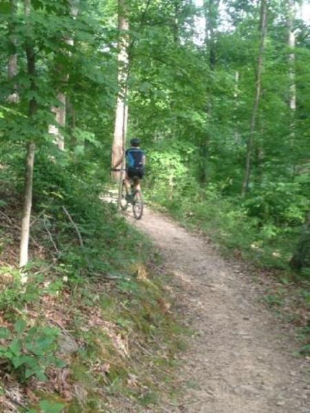 Mountain biker riding along a narrow dirt trail surrounded by lush green trees in a forested area. O'bannon Woods mountain bike trail.