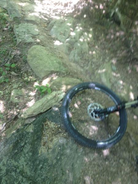 Mountain bike tire resting on rocky terrain surrounded by greenery and dappled sunlight. The scene captures a natural trail featuring stones and a dirt path, suggesting an outdoor cycling adventure. Warrior Creek mountain bike trail.