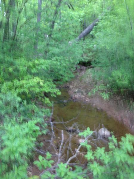 A blurred image of a forested area featuring a small creek surrounded by lush greenery, including trees and shrubs. Light filters through the foliage, creating a serene natural setting. San-lee Park mountain bike trail.