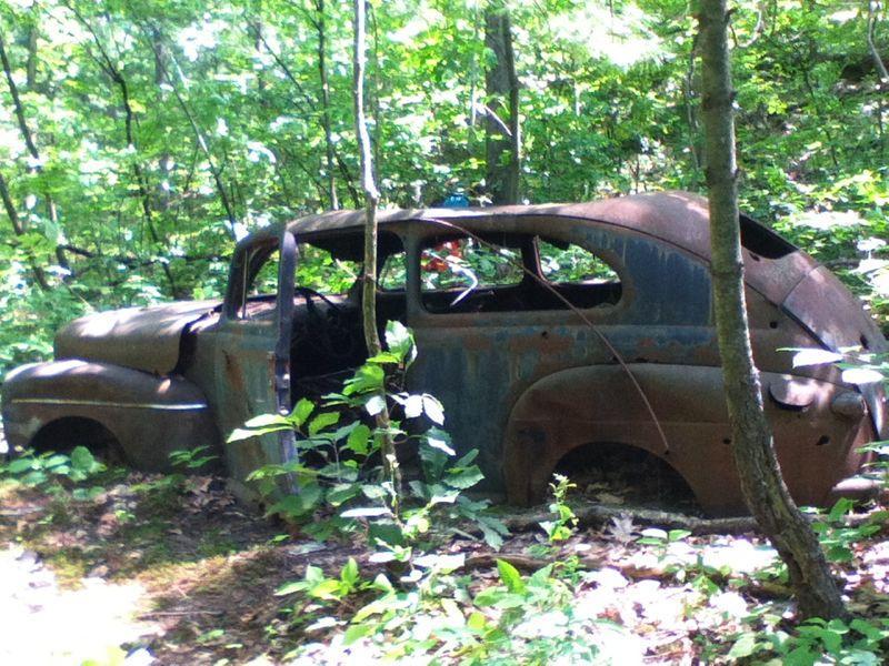 An abandoned, weathered car partially covered by greenery in a wooded area, showcasing rust and signs of decay. Stewart State Forest mountain bike trail.