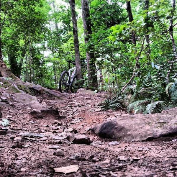 A narrow, rocky trail surrounded by lush greenery, with a bicycle partially visible in the background. The path features loose stones and soil, indicating a rugged terrain typical of a forested area. Governor's Creek mountain bike trail.