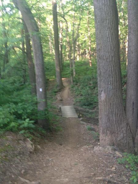 A narrow, winding trail through a lush green forest, featuring tall trees and dense foliage on either side. A wooden bridge crosses a small dip in the path, inviting exploration into the serene natural environment. Bear Creek Mountain Resort & Conference Center mountain bike trail.
