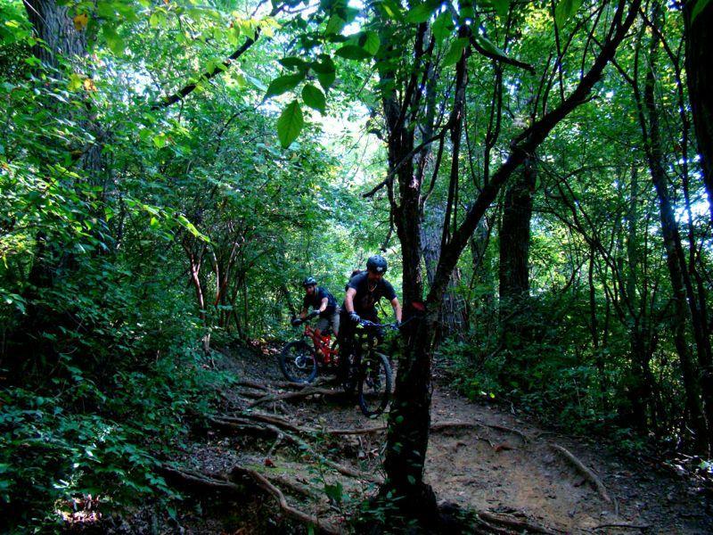 Two mountain bikers navigating a wooded trail surrounded by dense green foliage and trees. The path is uneven with visible roots and sunlight filtering through the leaves. Palos Forest Preserve mountain bike trail.