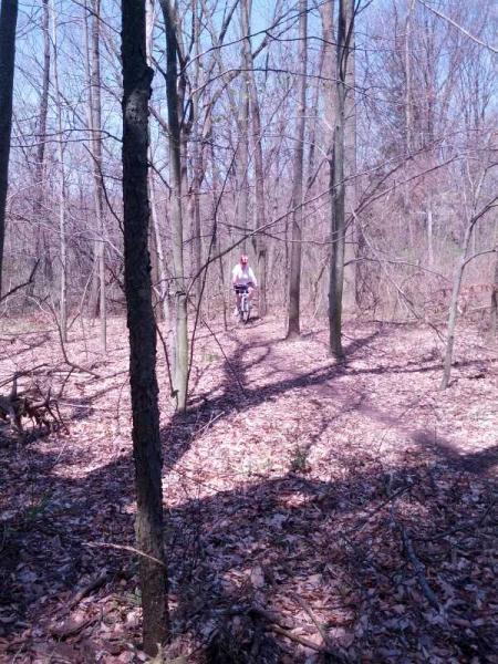 A cyclist navigating a narrow dirt trail through a wooded area, surrounded by tall trees and fallen leaves on the ground, under a clear blue sky. Anderson Park mountain bike trail.