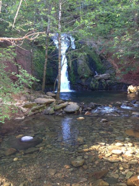 A serene waterfall cascading down rocks into a clear, shallow pool surrounded by lush greenery and trees, with smooth stones scattered along the water's edge. Jenkinson Lake Loop mountain bike trail.