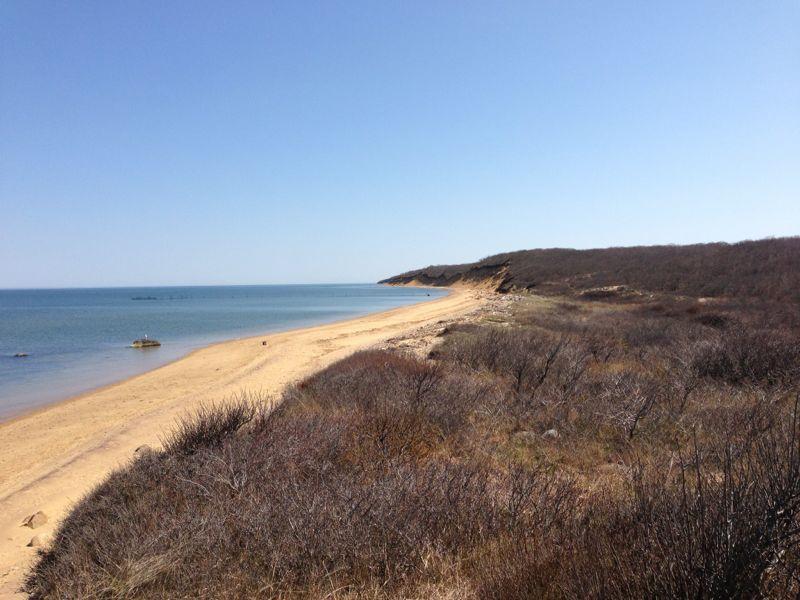 A tranquil beach scene featuring a sandy shoreline curving along a calm ocean. In the background, rolling hills covered with sparse vegetation rise gently against a clear blue sky. The scene conveys a sense of serenity and natural beauty, with the water reflecting the clear weather. Hither Woods mountain bike trail.