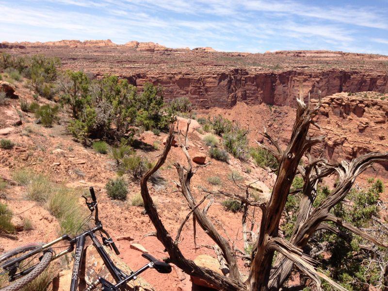 A scenic view of a rocky canyon landscape with sparse vegetation, featuring a mountain bike leaning against a gnarled tree branch in the foreground. The background showcases steep canyon walls and clear blue skies with scattered clouds. The Whole Enchilada mountain bike trail.