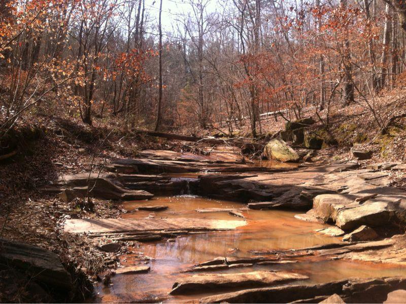 A serene landscape featuring a small stream flowing over rocky terrain, surrounded by bare trees and scattered autumn leaves. The scene is set in a forest in early spring, with a calm and tranquil atmosphere. Modoc (Stevens Creek Trail) mountain bike trail.