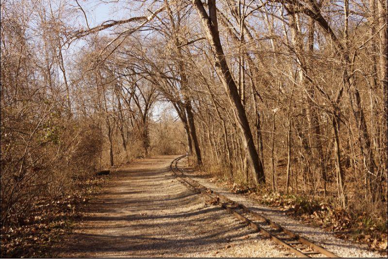 A winding gravel path alongside a set of railway tracks, surrounded by bare trees in a wooded area during autumn. The landscape is serene and showcases earthy tones with fallen leaves scattered along the trail. Al Foster mountain bike trail.