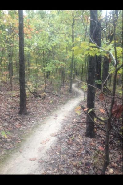 A winding dirt path through a wooded area, surrounded by trees with vibrant green and orange leaves, indicating autumn. The scene is misty, creating a serene and tranquil atmosphere. Lost Valley mountain bike trail.