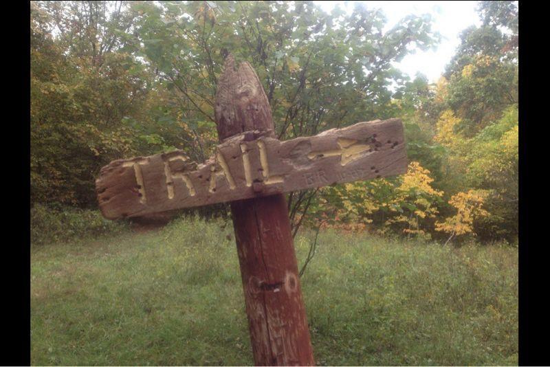 Wooden trail sign pointing to the left, with the word "TRAIL" carved into it. The background features lush greenery and autumn foliage. Berryman mountain bike trail.
