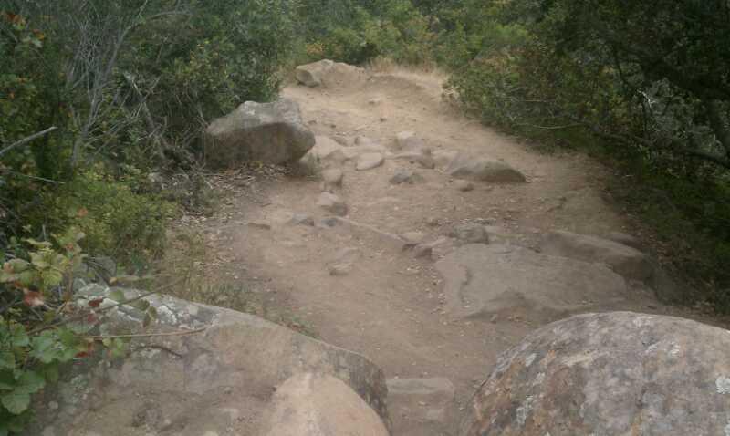 A rocky, uneven hiking trail surrounded by greenery and bushes, with scattered stones along the pathway. The trail appears to lead down a slope, showcasing natural textures and earthy colors. Madonna Mountain: Rock Garden mountain bike trail.
