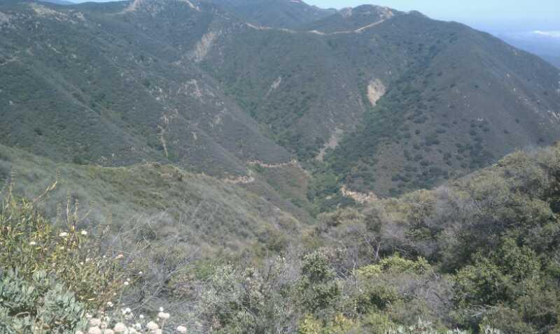 A panoramic view of a mountainous landscape featuring rolling hills and valleys covered in greenery under a clear blue sky. The foreground includes shrubs and plants, while distant ridges outline the horizon. Romero Road mountain bike trail.