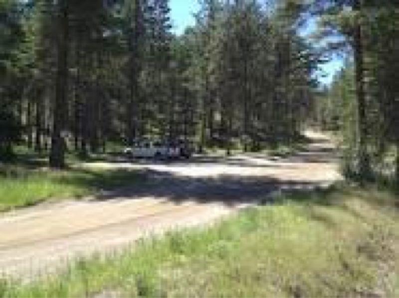 A dirt road winding through a forested area, surrounded by tall trees and patches of green grass. A white vehicle is parked on the side of the road, with a clear blue sky visible above. Smith Creek mountain bike trail.