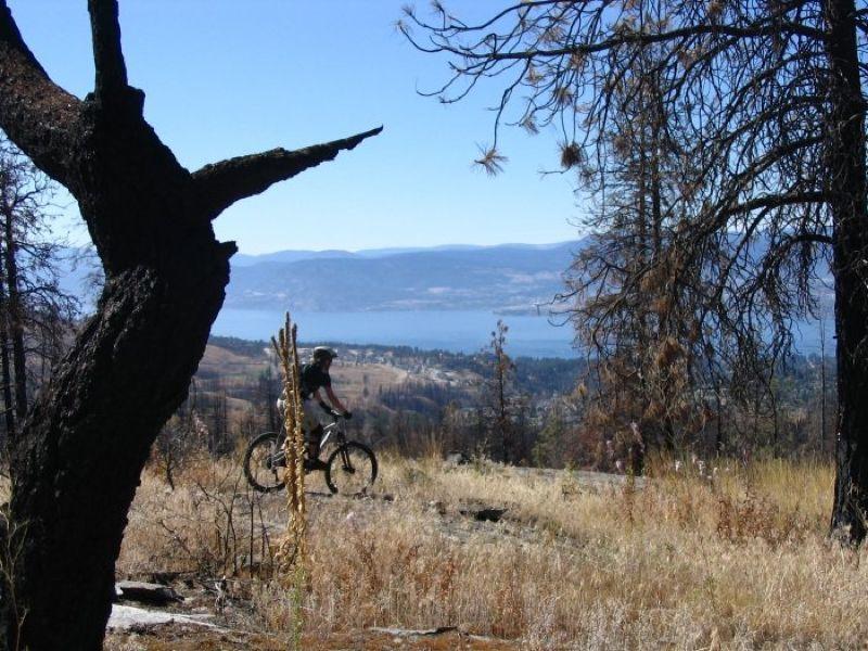 A mountain biker rides on a dirt trail surrounded by dry grass and charred trees, with a scenic view of a lake and distant mountains in the background. Smith Creek mountain bike trail.