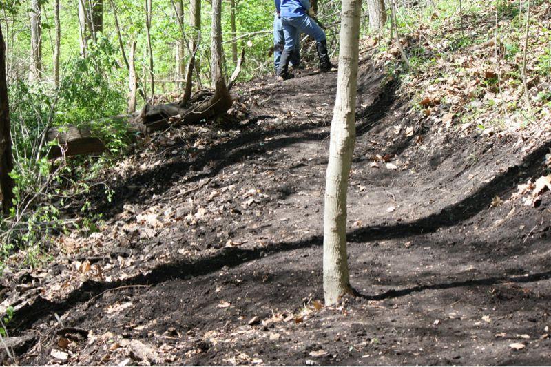 A dirt path winding through a wooded area with a person in blue jeans and a blue shirt working in the background. The scene features green foliage, scattered leaves, and a clear sky above. A small tree stands prominently on the path. Bluffview trail mountain bike trail.