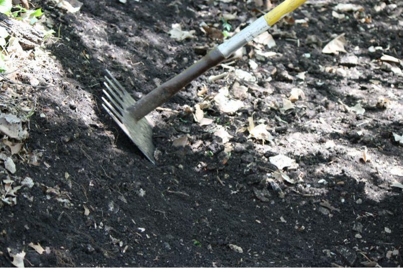 A close-up image of a garden rake partially embedded in dark, tilled soil, surrounded by scattered dry leaves. Sunlight filters through, illuminating the soil's texture. Bluffview trail mountain bike trail.