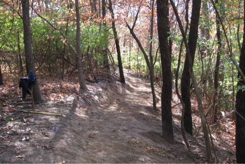 A narrow dirt path winding through a wooded area with trees on either side and fallen leaves scattered along the ground. Chubb Trail mountain bike trail.