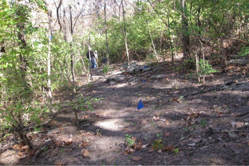 A wooded area featuring a dirt path with some rocks and scattered leaves. Small blue flags are placed in the ground, indicating specific locations. In the background, a person is visible among the trees. The scene is well-lit, suggesting it's a sunny day. Chubb Trail mountain bike trail.