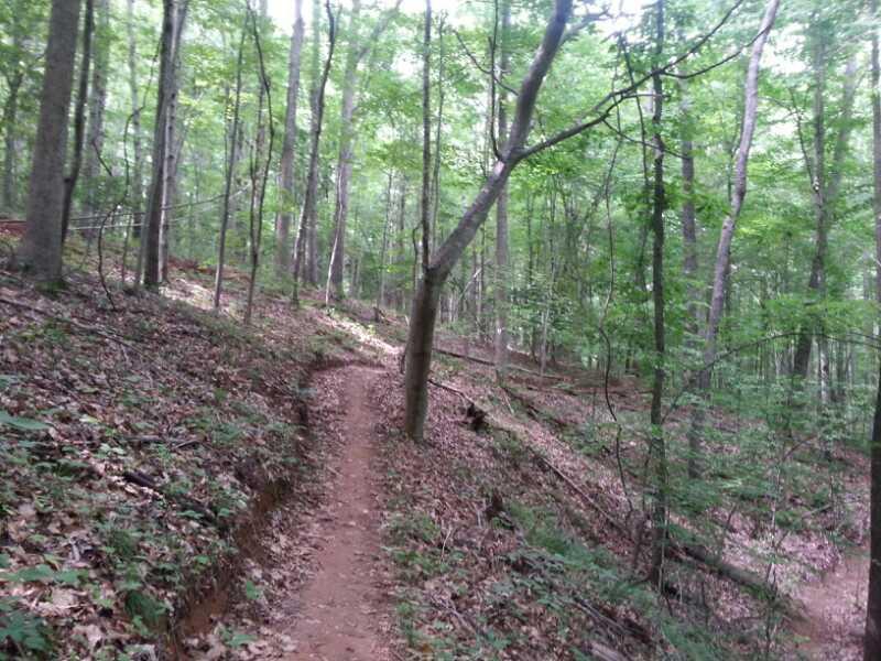 A winding dirt trail through a lush green forest, surrounded by tall trees and foliage. The path is slightly uneven, with scattered leaves and underbrush along the edges, inviting exploration in a serene natural setting. San-lee Park mountain bike trail.