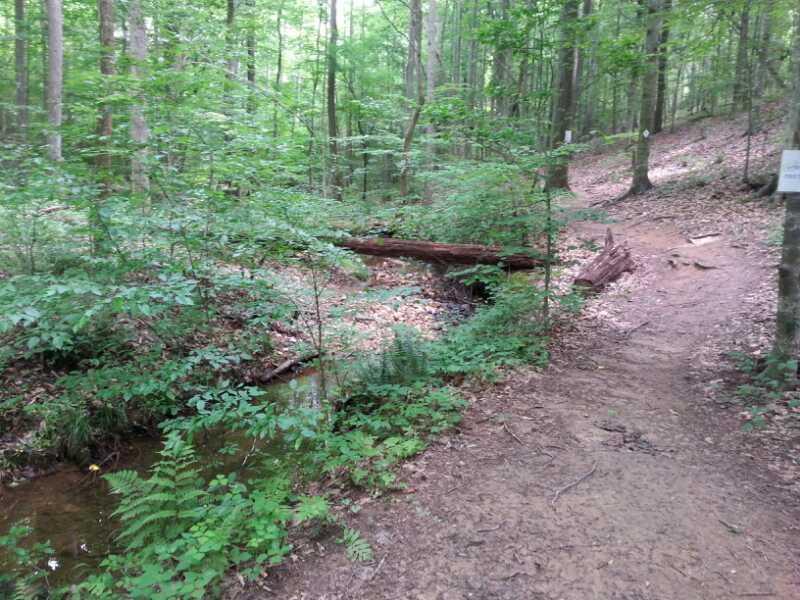 A serene forest scene featuring a winding dirt path alongside a small stream. The area is lush with green foliage, including a variety of trees and ferns. A fallen log lies across the stream, and the surrounding ground is covered with leaf litter. Signs are visible along the path, indicating a well-marked trail in the wooded landscape. San-lee Park mountain bike trail.