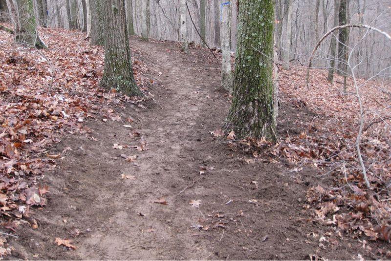 A dirt path winding through a forest, flanked by trees and scattered fallen leaves. The atmosphere appears calm and serene, with a natural trail leading deeper into the woods. Greensfelder Park mountain bike trail.