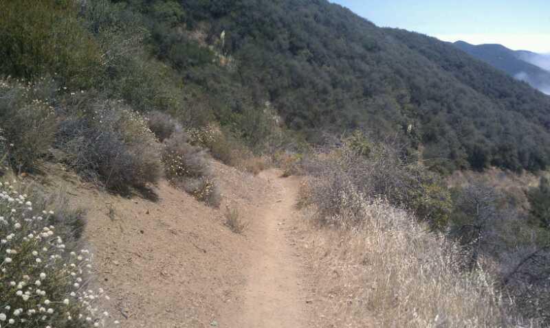 A winding dirt trail on a hillside, surrounded by greenery and sparse wildflowers, with the landscape gently sloping down and fading into distant hills under a clear blue sky. San Ysidro mountain bike trail.