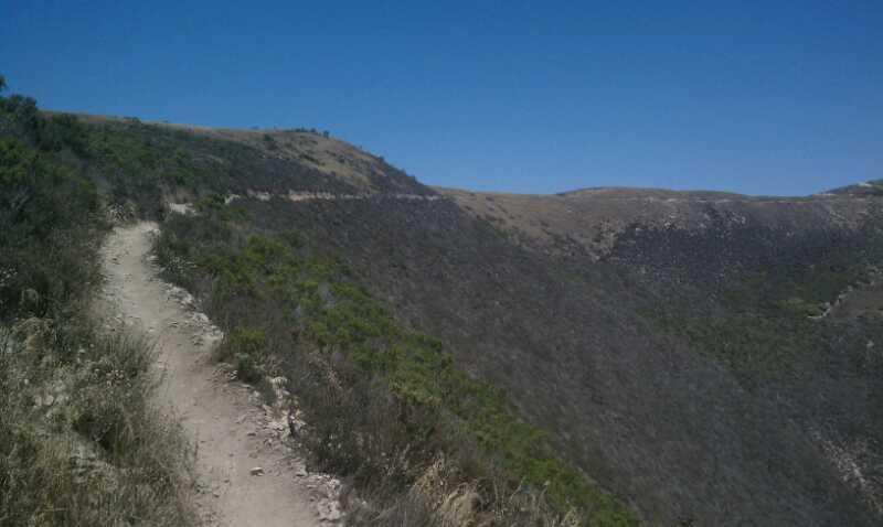 A winding dirt trail along a hillside, surrounded by patches of greenery, with a clear blue sky above. The landscape shows a mix of lush vegetation and areas of brown, indicating recent growth patterns or environmental changes. Montana De Oro mountain bike trail.