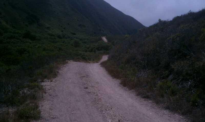 A winding dirt path surrounded by lush green vegetation and hills, under a cloudy sky. The trail curves gently into the distance, indicating a serene outdoor setting. Montana De Oro mountain bike trail.