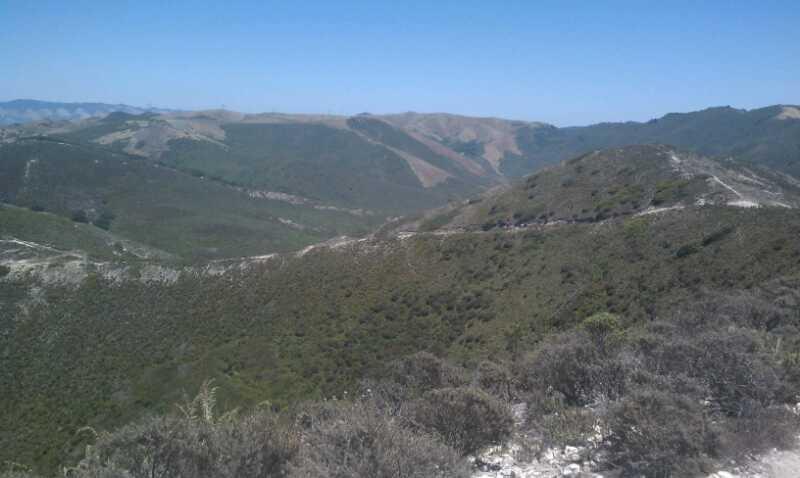 A panoramic view of rolling green hills under a clear blue sky, showcasing a landscape with various shades of green vegetation and gentle slopes. The terrain includes patches of shrubbery and hints of a winding road in the distance, emphasizing the natural beauty of the mountainous region. Montana De Oro mountain bike trail.
