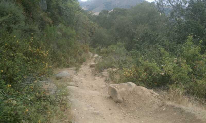 A narrow, dirt hiking trail surrounded by lush greenery, including shrubs and small flowers, leading towards distant hills under a cloudy sky. Madonna Mountain: Rock Garden mountain bike trail.