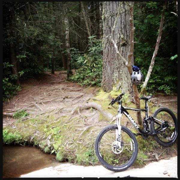 A mountain bike leaning against a tree in a forested area, with exposed tree roots and a small creek visible in the foreground. A helmet sits atop the tree, surrounded by lush greenery. DuPont State Forest mountain bike trail.