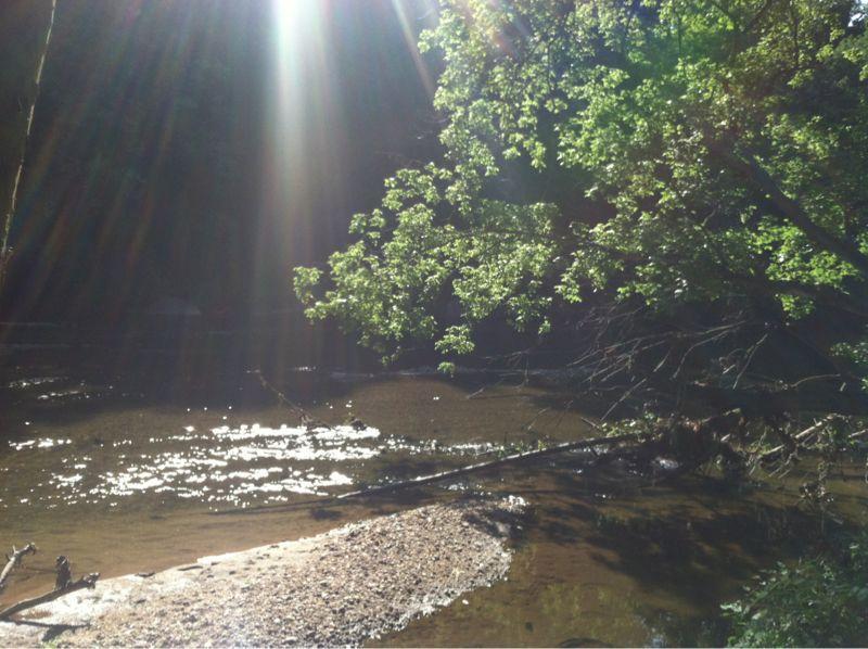 Sunlight streams through trees, casting a warm glow over a tranquil stream with sparkling water. The scene showcases lush green foliage, gently reflecting on the surface of the water and highlighting a serene natural setting. Patapsco Valley State Park (Avalon Area) mountain bike trail.