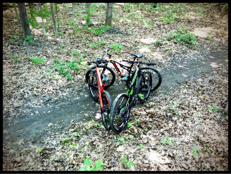 Four mountain bikes are leaned against each other on a dirt path in a forested area, surrounded by fallen leaves and greenery. The scene captures a serene outdoor setting, ideal for biking enthusiasts. Petrifying Springs mountain bike trail.