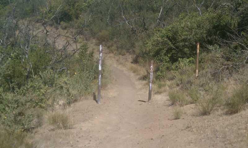 A dirt hiking trail leading through a grassy area, flanked by trees and bushes. Two wooden posts are visible at the entrance, likely marking the trail or providing information. The scene is sunny, with a clear blue sky above. West Fork Trail mountain bike trail.