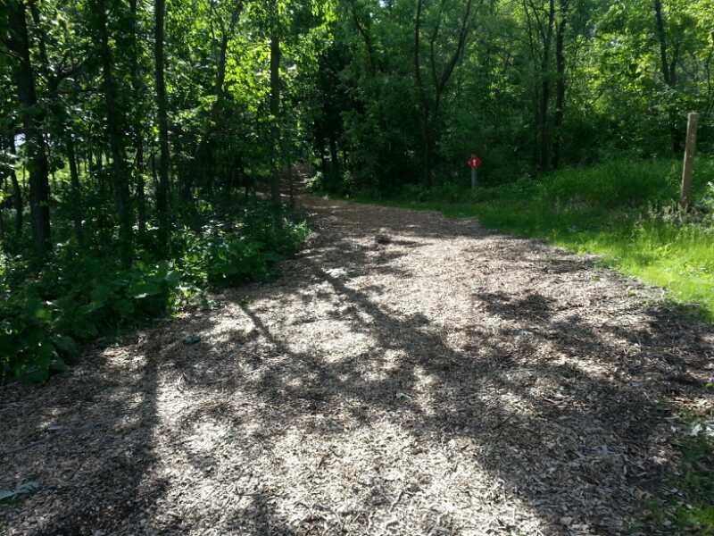 A winding path through a lush forest, lined with trees and greenery. The trail is covered in wood chips, with sunlight filtering through the leaves, creating a serene and inviting atmosphere. In the background, there is a signpost near a grassy area. Lake Elmo Park mountain bike trail.
