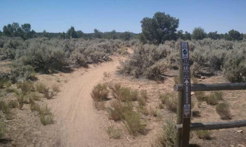 A dirt trail winding through a desert landscape, surrounded by dry, shrubby vegetation. A trail marker with symbols indicating route information stands beside the path, and the area is bathed in bright sunlight under a clear blue sky. Gooseberry Mesa mountain bike trail.