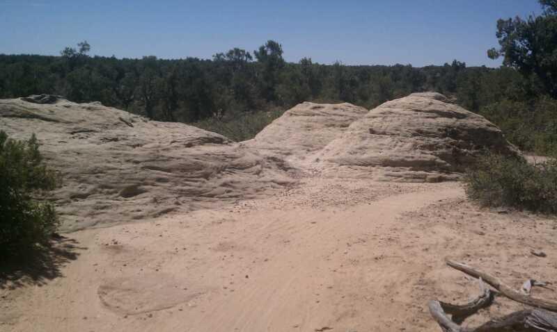 Rocky landscape featuring sandstone formations surrounded by patches of grass and scattered trees under a clear blue sky. The scene captures a sunlit trail leading through the natural terrain. Gooseberry Mesa mountain bike trail.