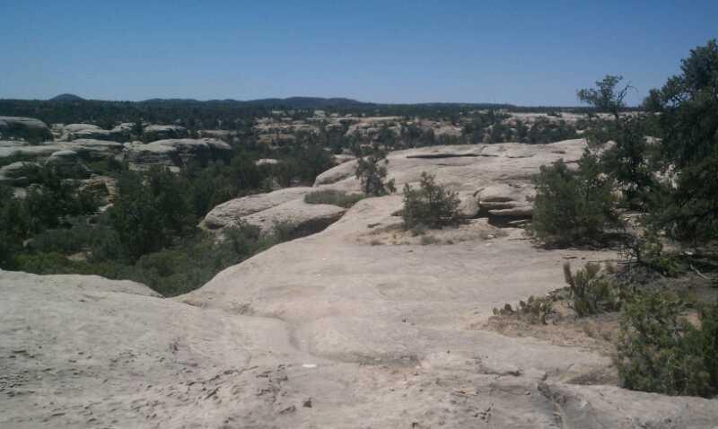 A panoramic view of a rocky landscape under a clear blue sky, featuring large, irregular sandstone formations interspersed with patches of green vegetation and trees. The scene captures rolling hills in the background, creating a sense of depth and natural beauty. Gooseberry Mesa mountain bike trail.