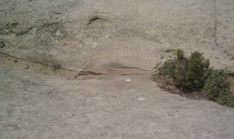 A rocky surface with sparse vegetation, featuring a small bush on the right side. The ground appears weathered and uneven, with light-colored patches and some visible texture. Gooseberry Mesa mountain bike trail.