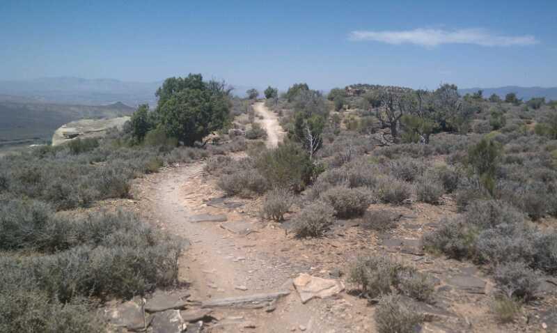 A rugged dirt path winding through a desert landscape, surrounded by shrubs and small trees, under a clear blue sky with distant mountains in the background. Gooseberry Mesa mountain bike trail.