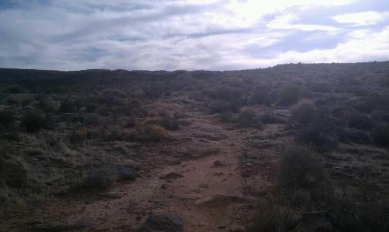 A rugged dirt path winding through a dry, bushy landscape under a cloudy sky. The terrain features various rocks and sparse vegetation, leading towards a distant hill. Barrel Roll mountain bike trail.