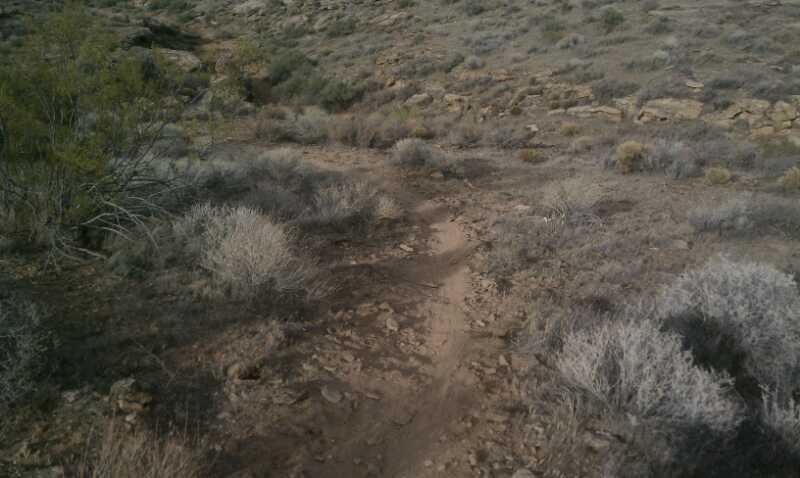 A narrow dirt trail winding through a dry, rocky landscape, surrounded by sparse shrubs and vegetation under a cloudy sky. Barrel Roll mountain bike trail.