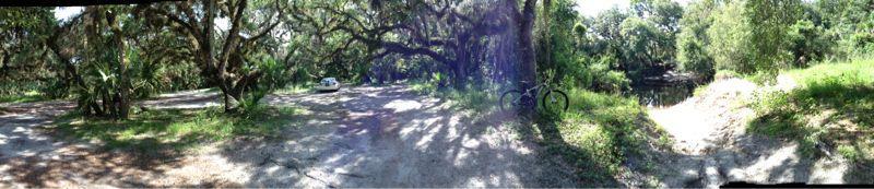 Panoramic view of a wooded area featuring lush greenery and large trees, a dirt path or road, a parked car, and a bicycle leaning against a tree. Sunlight filters through the foliage, casting dappled shadows on the ground. A small water body can be seen in the distance. North Port Mountain Bike Trails mountain bike trail.