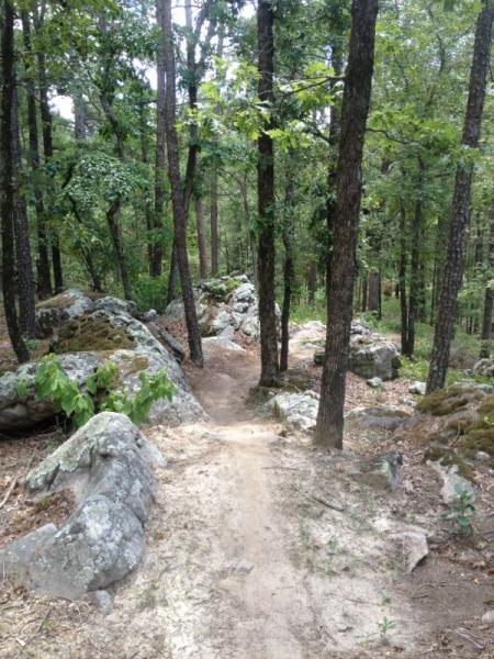 A winding dirt path through a dense forest, flanked by tall trees and large rocks. Lush greenery surrounds the trail, with patches of sunlight filtering through the leaves. The terrain appears natural and rugged, inviting exploration in a tranquil outdoor setting. Iron Mountain mountain bike trail.