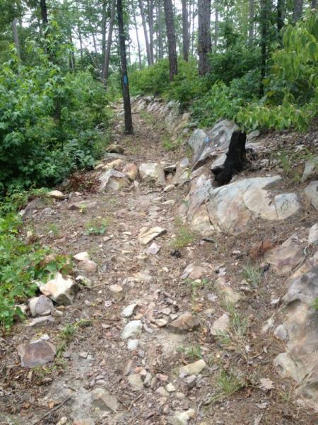 A rocky hiking trail surrounded by lush green vegetation and trees, winding through a forested area. The path is uneven and includes scattered stones and rocky outcrops. Iron Mountain mountain bike trail.