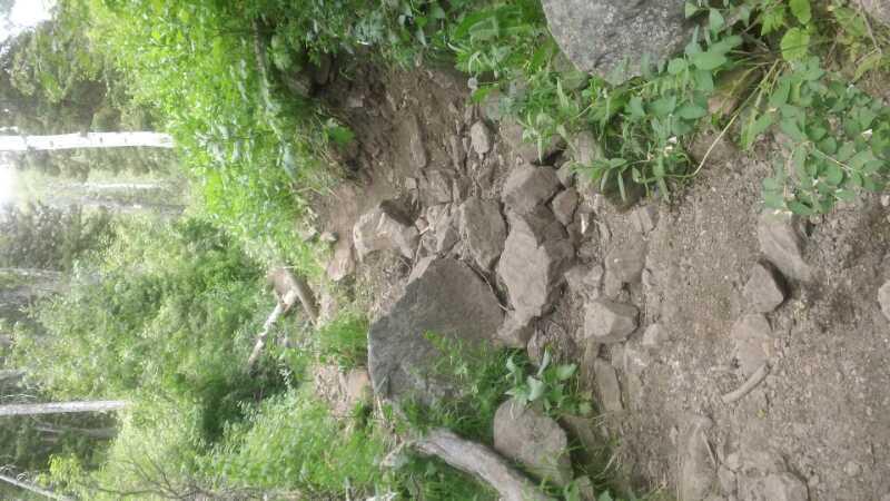 A narrow hiking trail surrounded by lush greenery, featuring uneven ground with scattered rocks and boulders. The pathway is bordered by vibrant foliage, including small plants and shrubs, leading into a wooded area. Blind Hollow mountain bike trail.