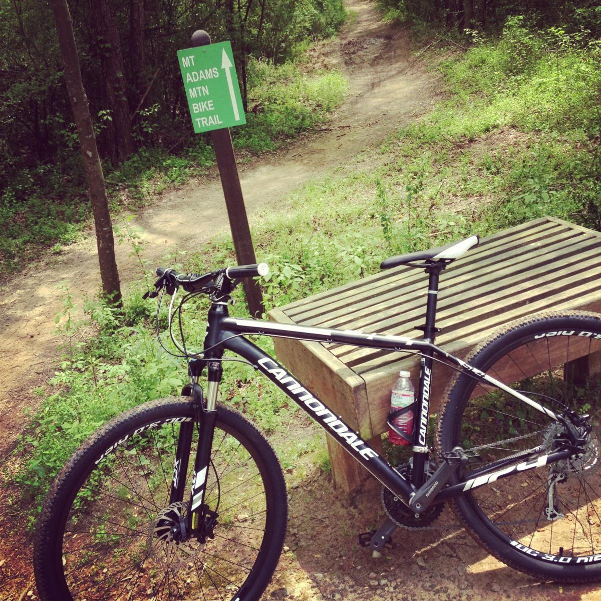 Cannondale Trail SL 29: A mountain bike leaning against a wooden bench, with a trail sign indicating "MT ADAMS MTN BIKE TRAIL" in a green forested area. A water bottle is visible near the bike, and the terrain is a mix of dirt and grass.